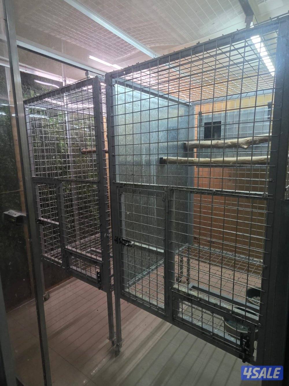 قفصين حجم كبير لانتاج الكاسكو والمكاو2