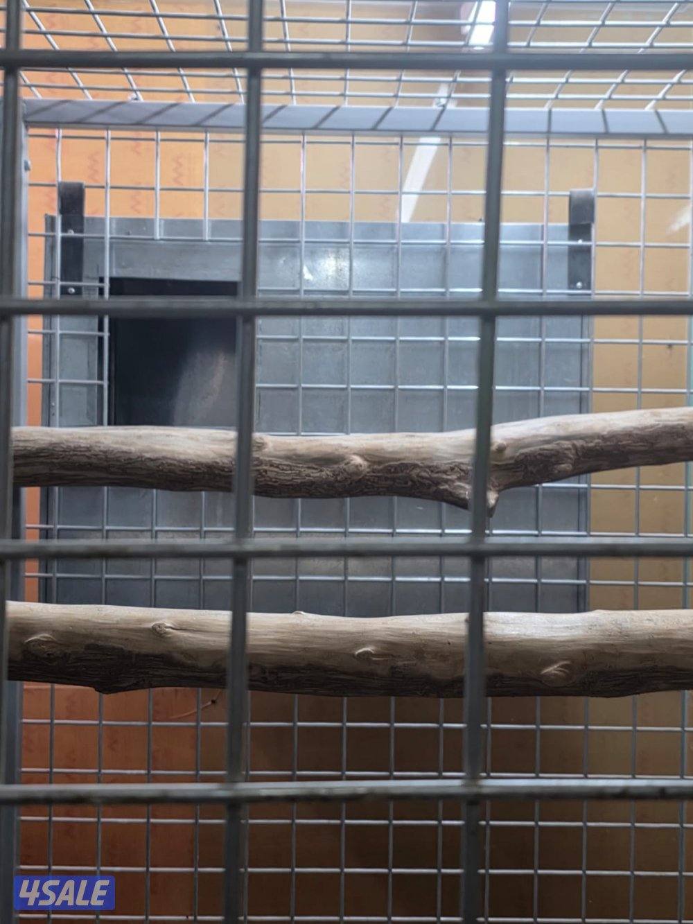 قفصين حجم كبير لانتاج الكاسكو والمكاو3