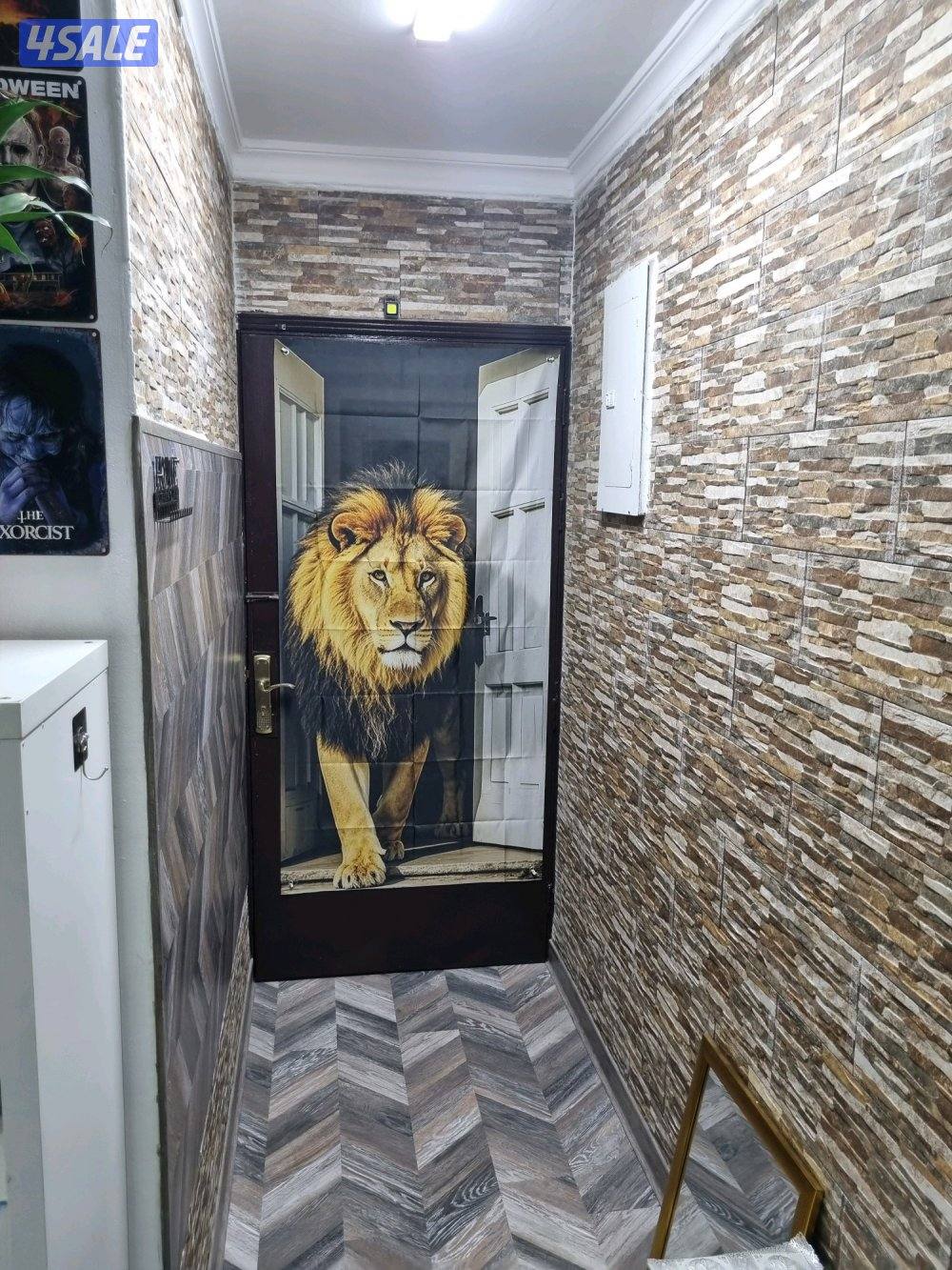 شقة للايجار خلو شارع عمان2