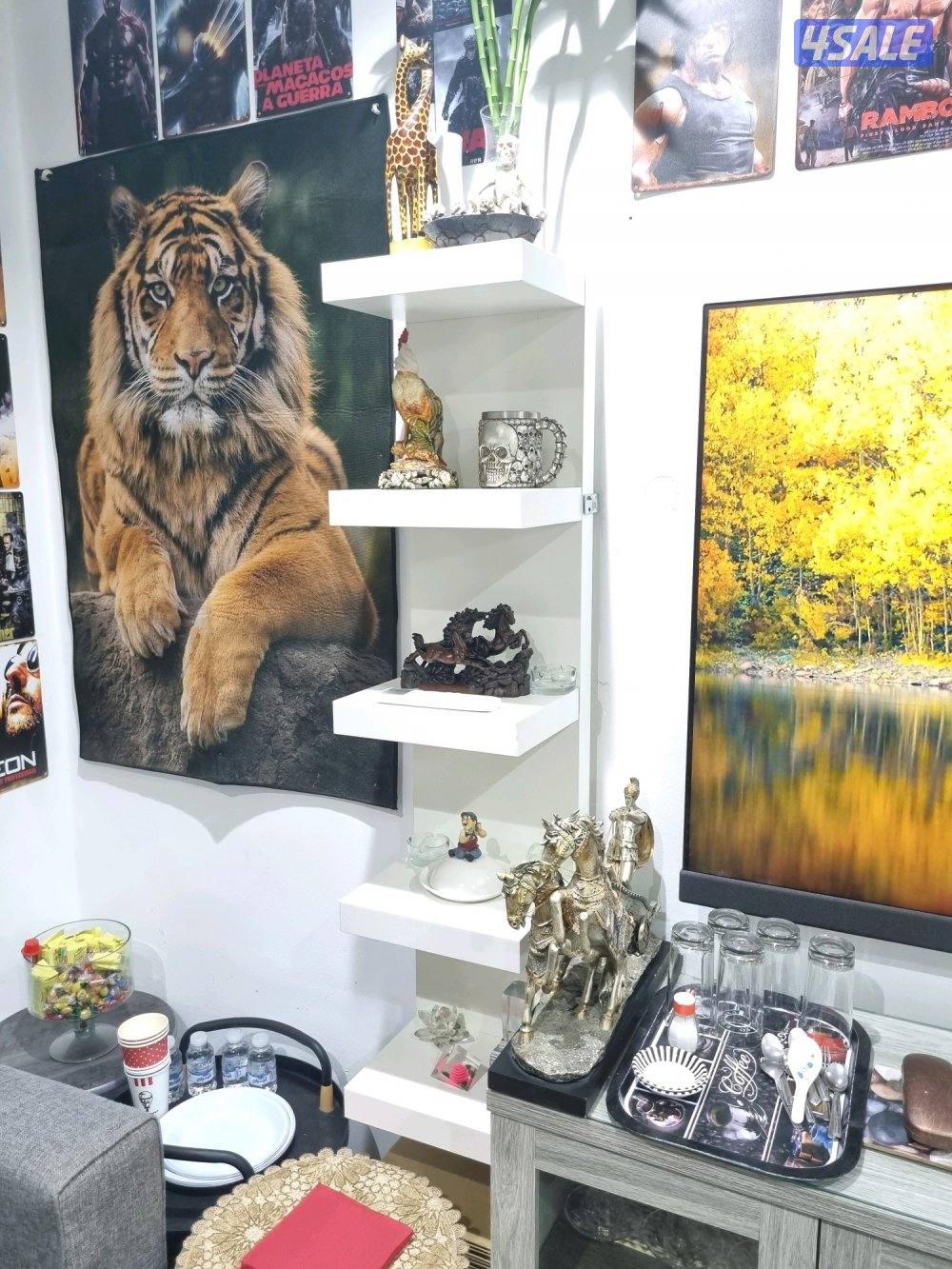 شقة للايجار خلو شارع عمان7