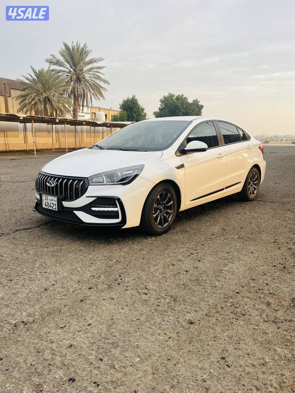 شيري اريزو50