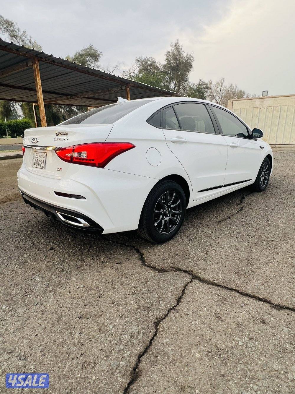 شيري اريزو51