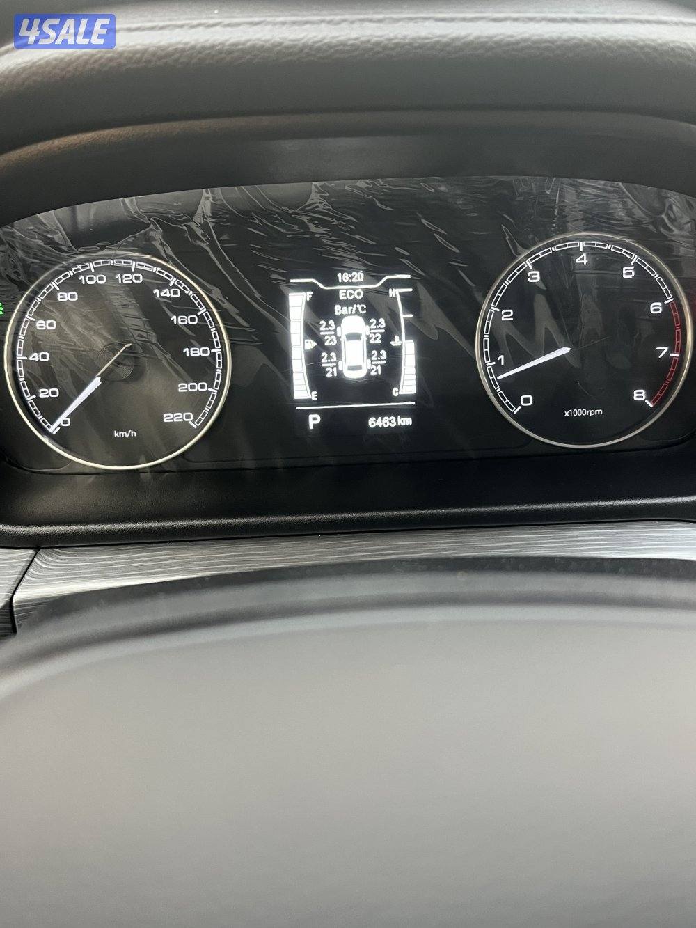 شيري اريزو58