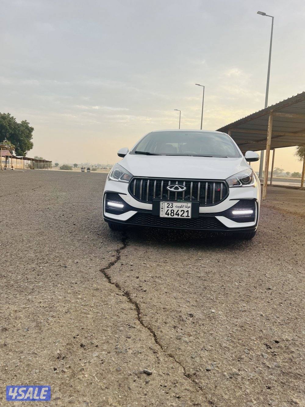 شيري اريزو511