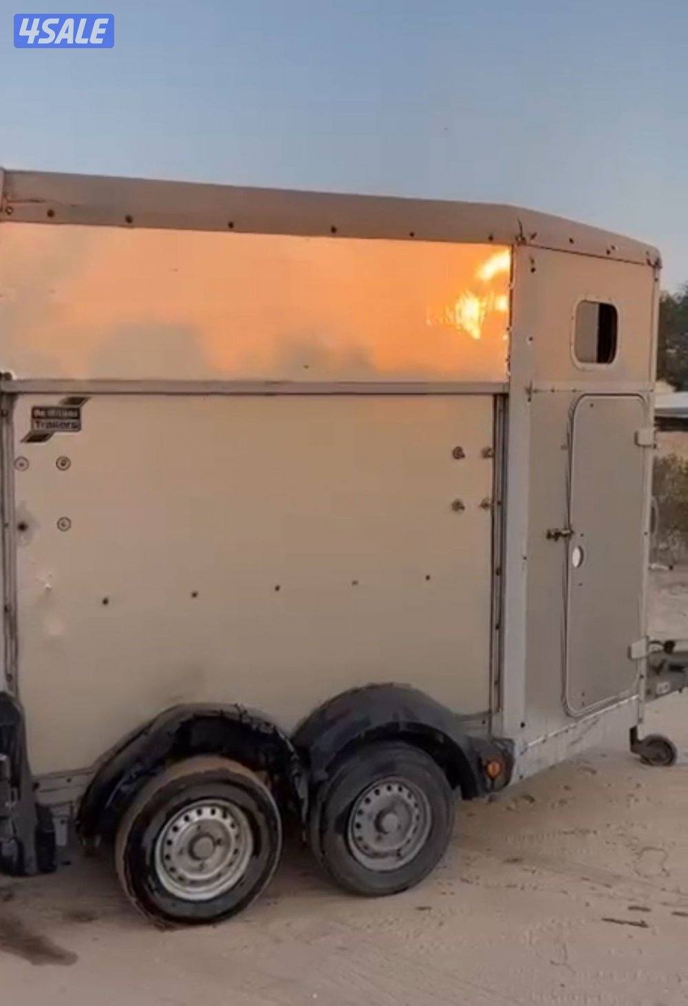 عربانة خيل انجليزية1