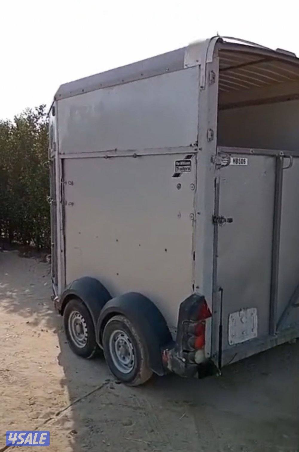 عربانة خيل انجليزية3