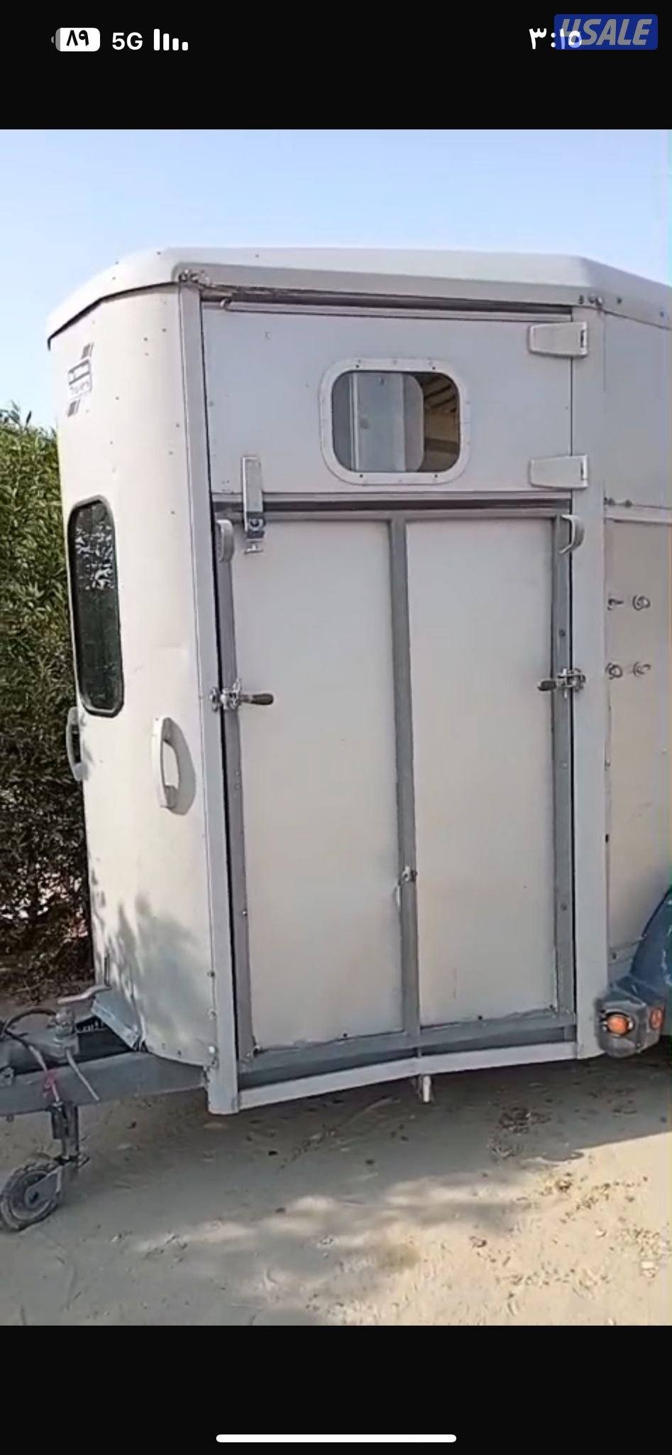 عربانة خيل انجليزية7