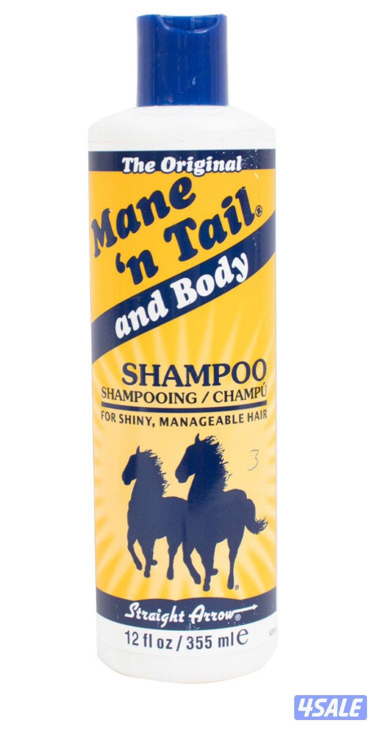 مربط للافراس ومهرات3