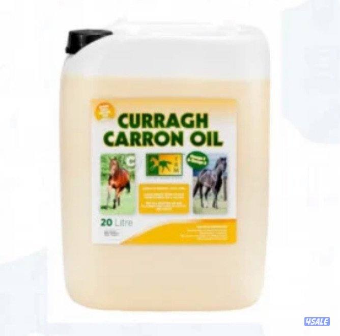 مربط للافراس ومهرات4