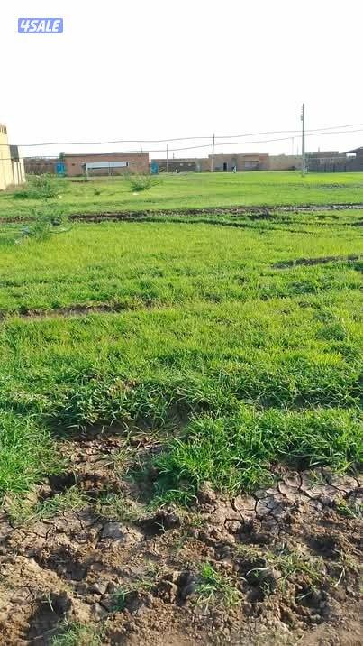 حارس أمن // عامل // راعي0