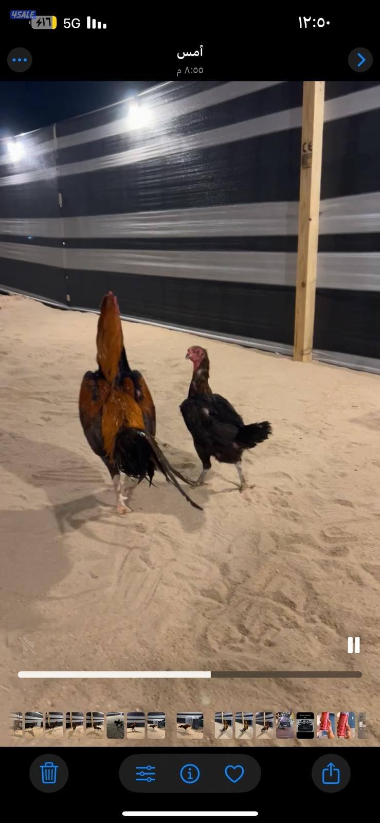 للبيع مجموعه تايلندي8