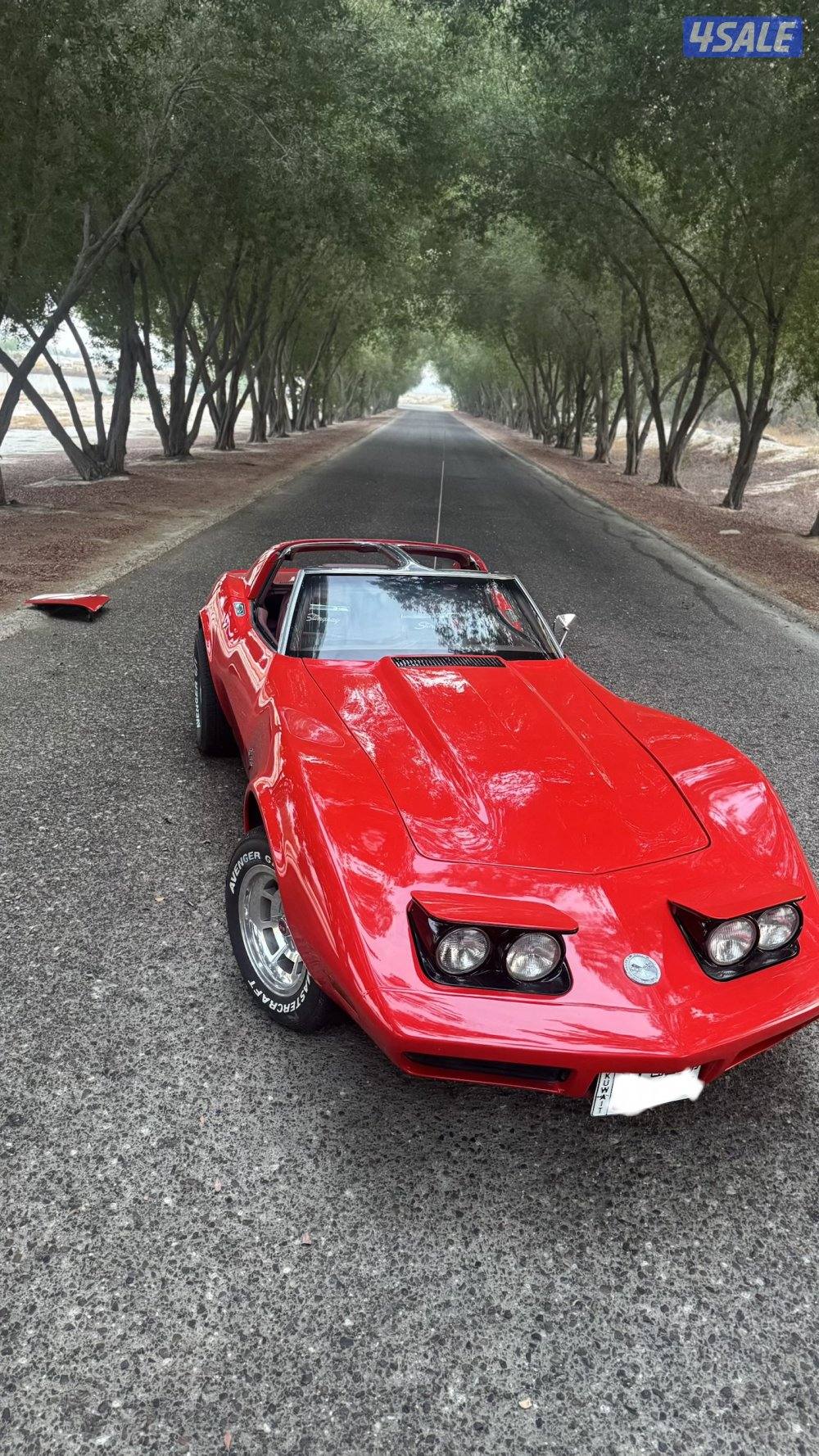 للبيع كورفيت ستينجري موديل 19730