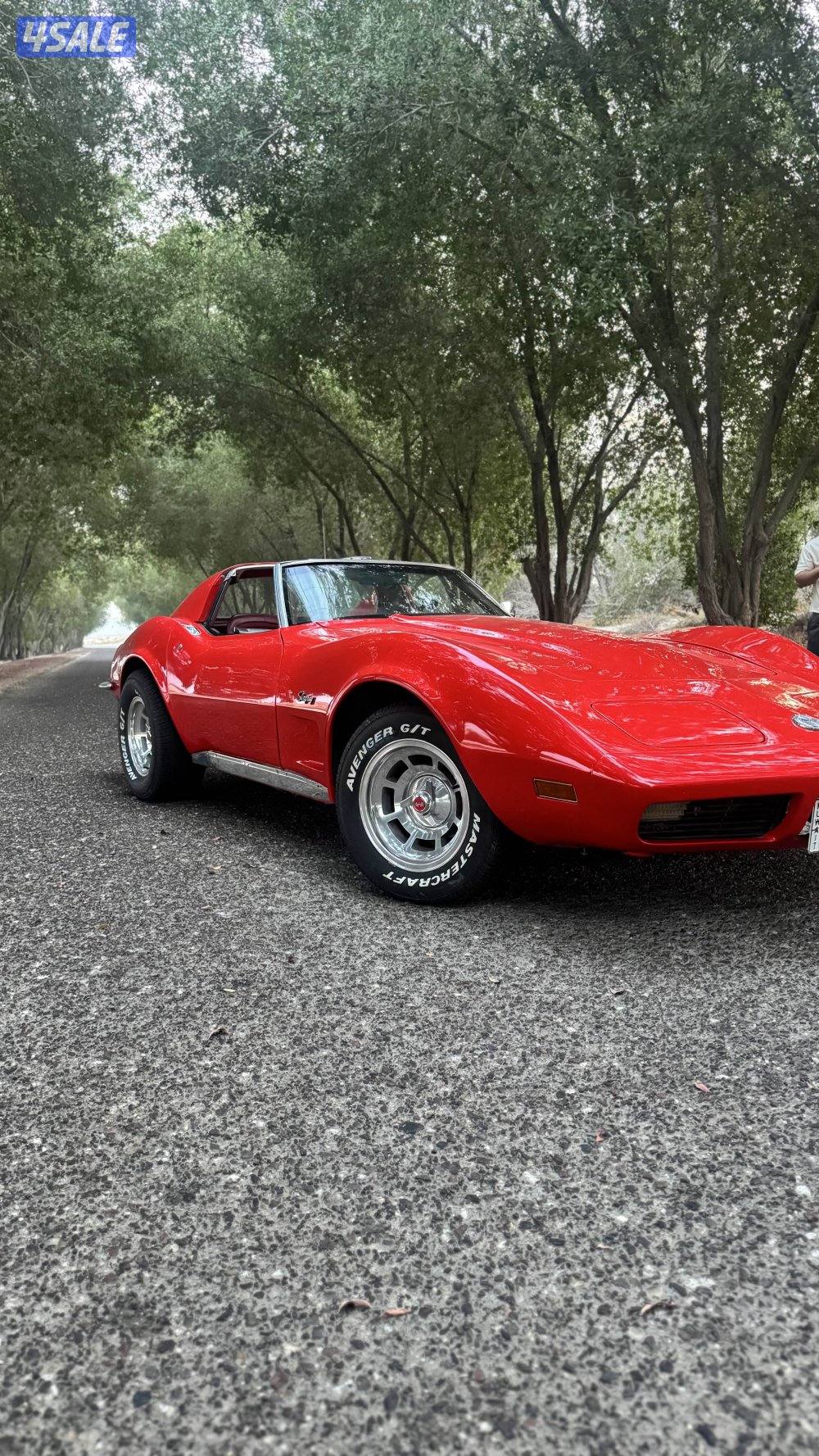 للبيع كورفيت ستينجري موديل 19731