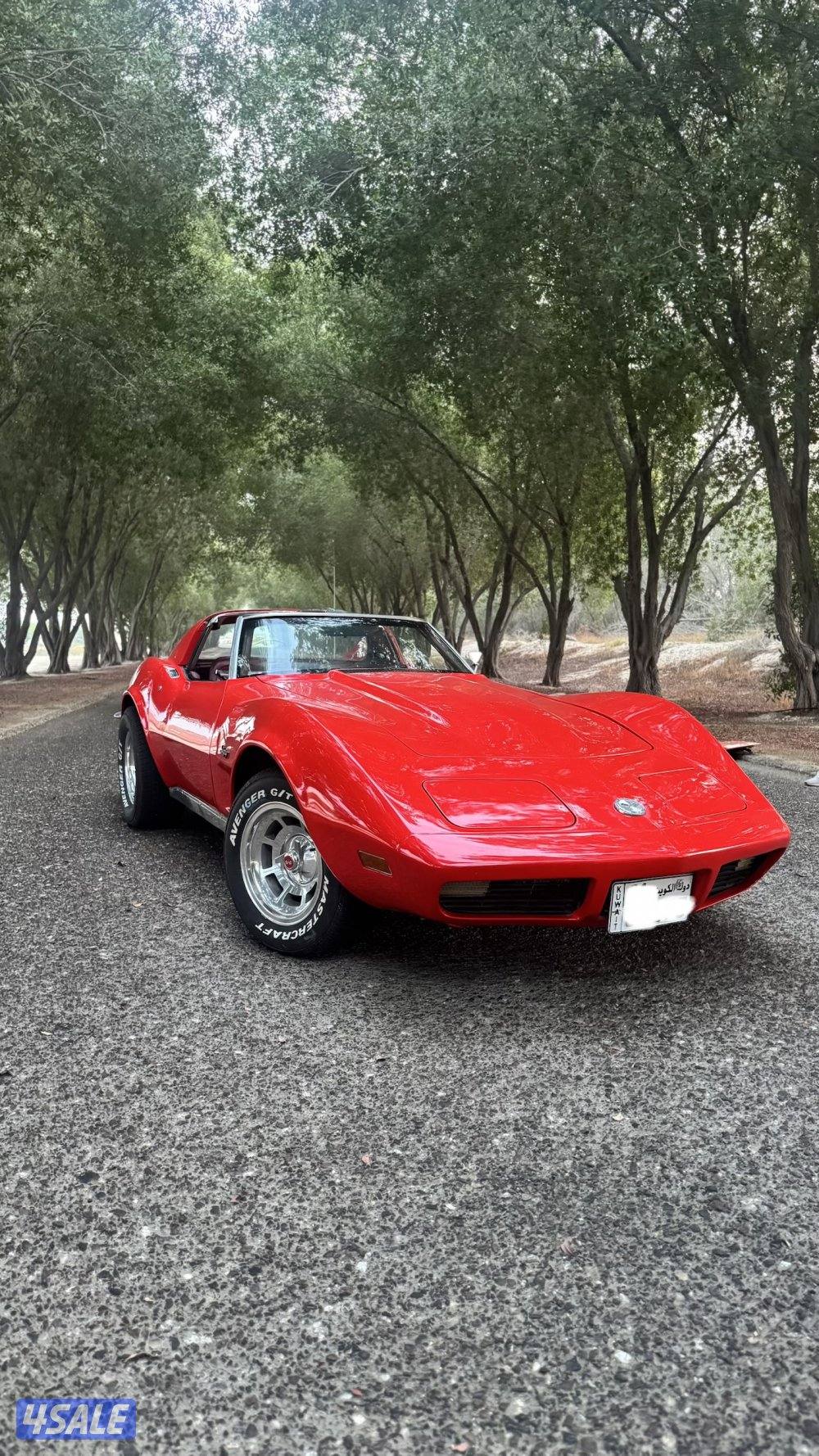 للبيع كورفيت ستينجري موديل 19736