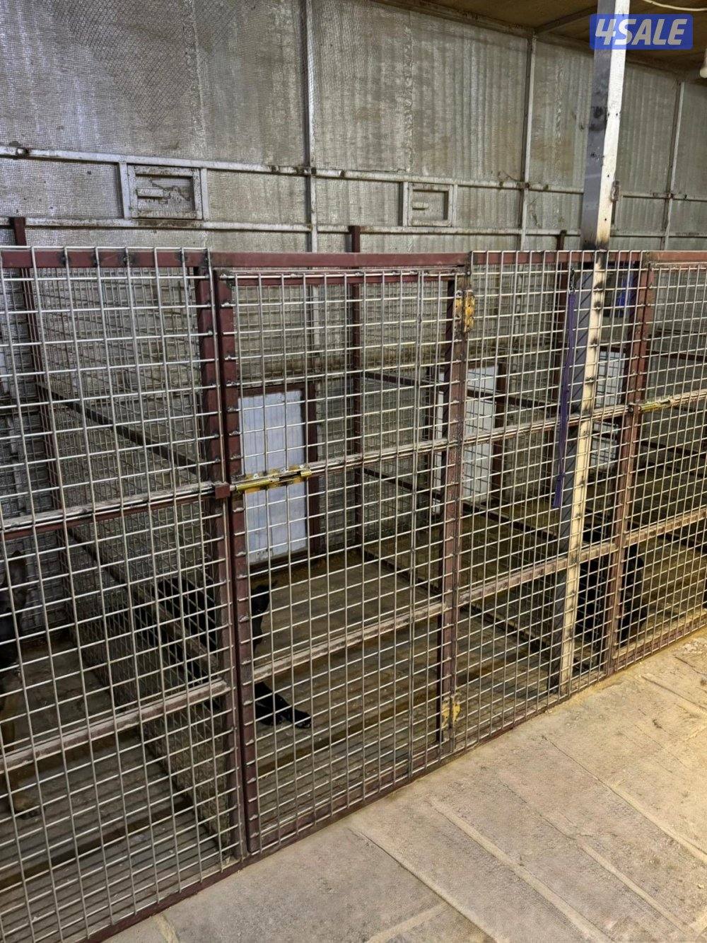 فندقه كلاب2