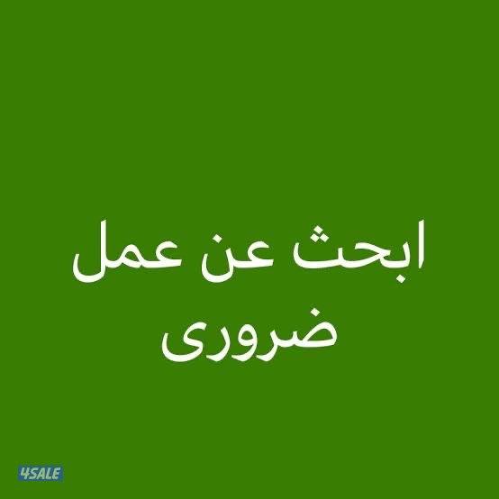 باحث عن فرصة عمل في تكنولوجيا المعلومات IT أو منصب إداري0