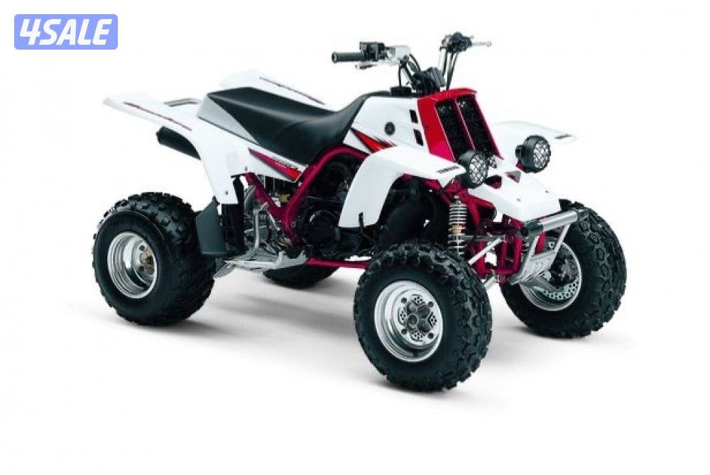 مطلوب بانشي اقرأ الوصف0