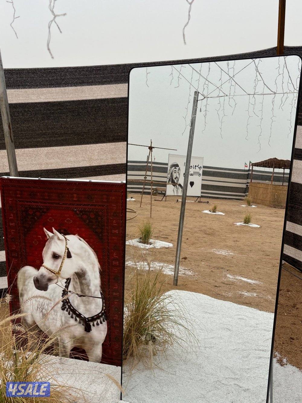 كشته الصبية2