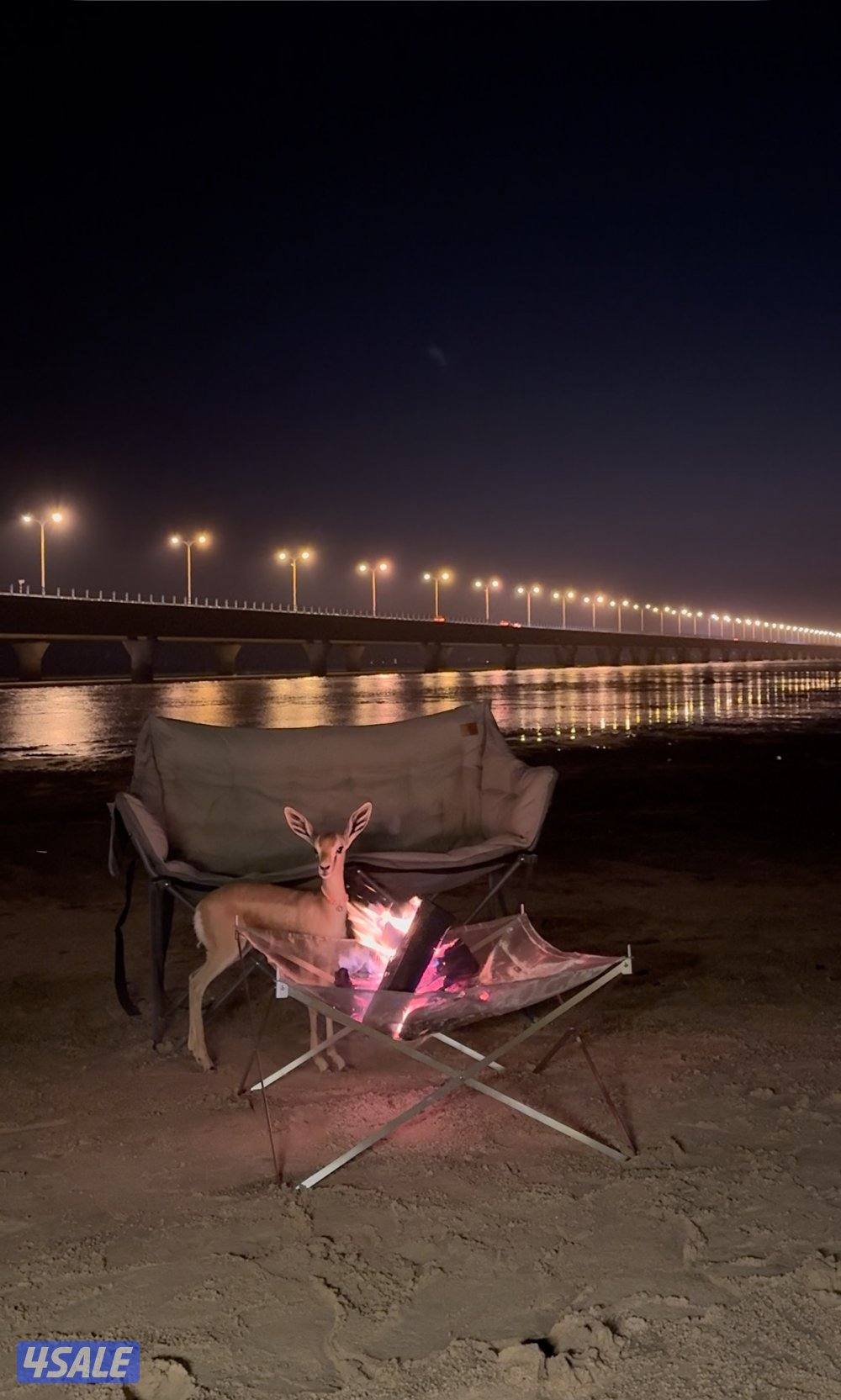 للبيع غزال الريم2