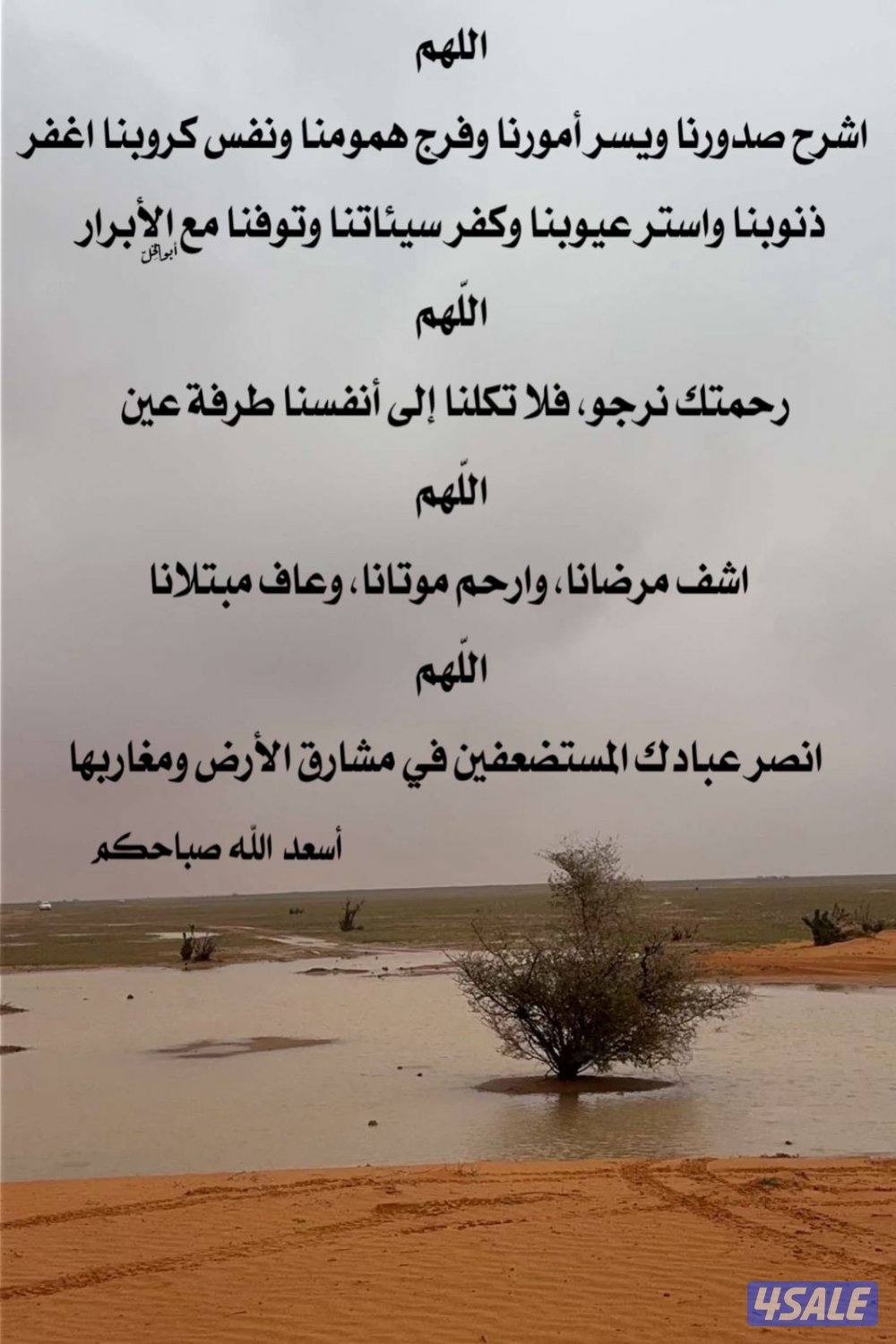 للبيع اكسسوارات تاهو0