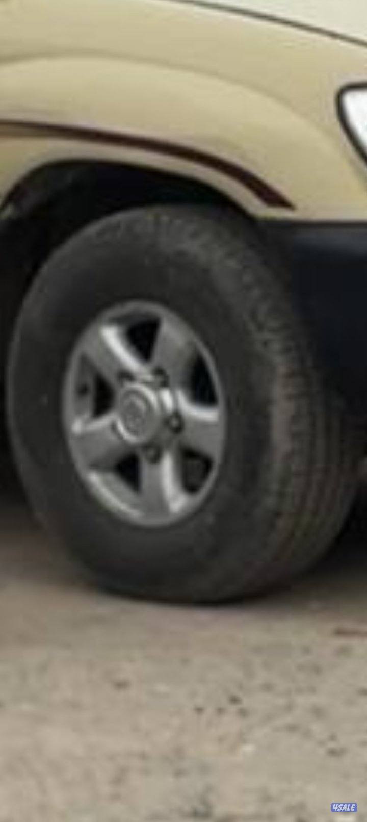 للبيع شواهين1