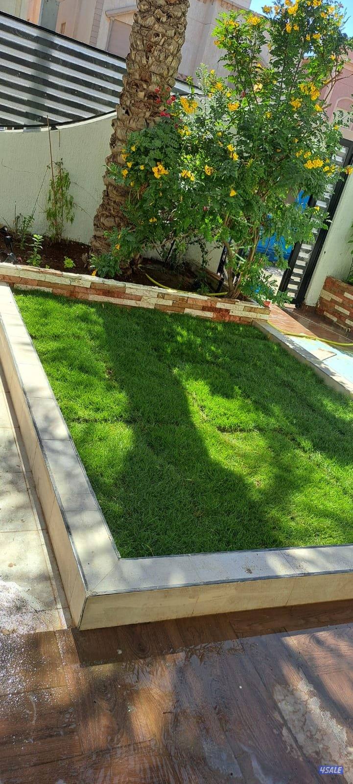 للبيع وتنسيق الحدائق وتركيب ثيل صناعى والسور التركى وزرع الثيل الطبيعى6