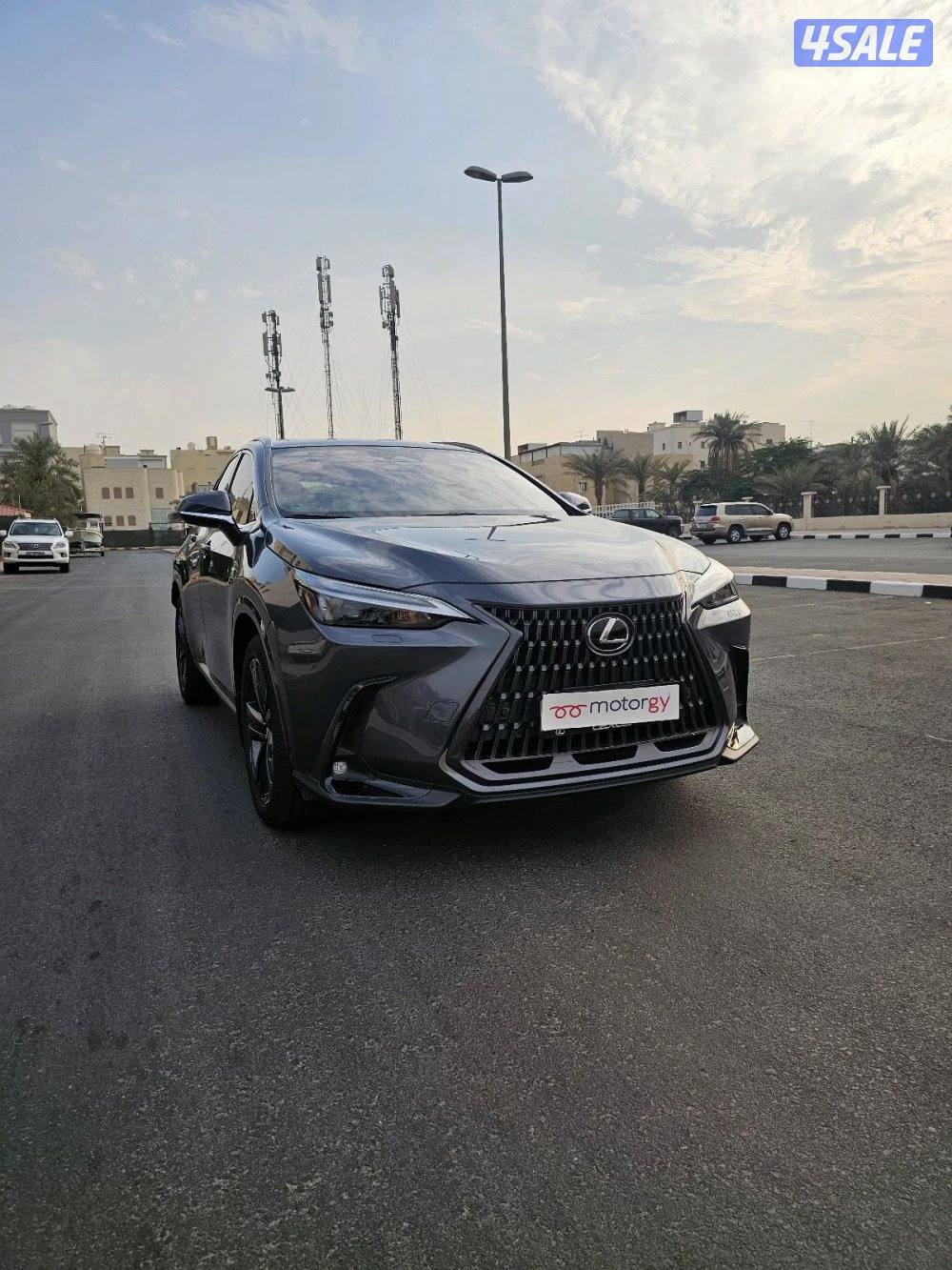 Lexus NX3504
