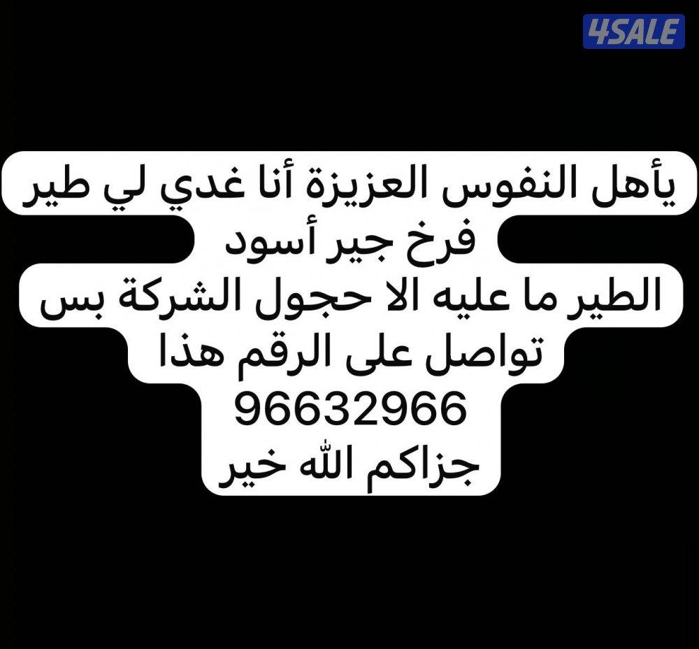 سكراب امغره0