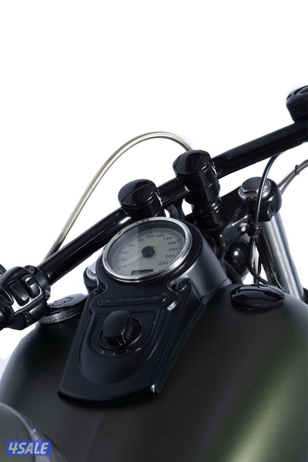 Harley Davidson FXDF Fat Bob9