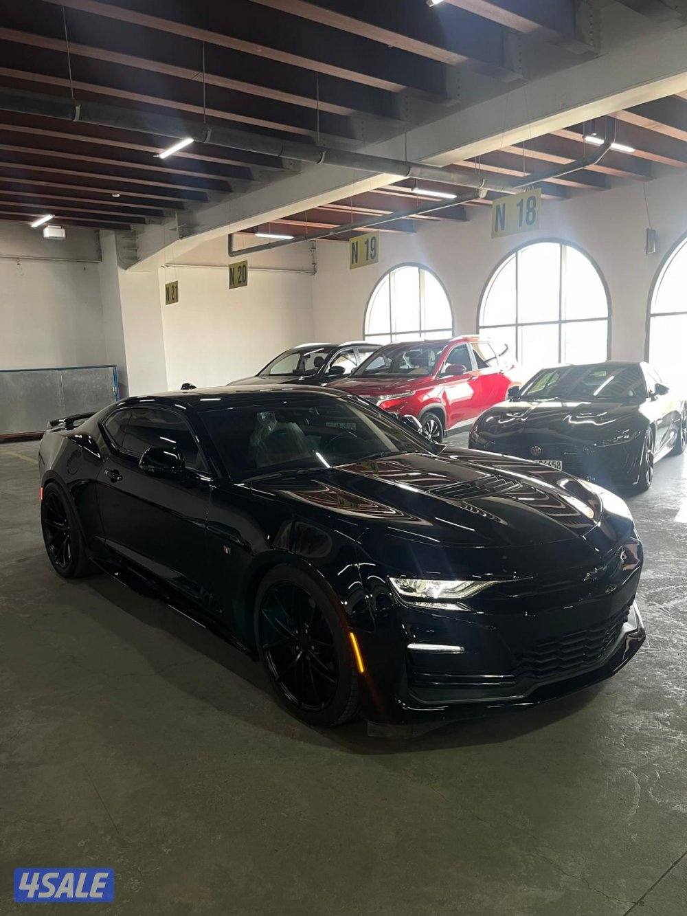 2ss قير عادي3