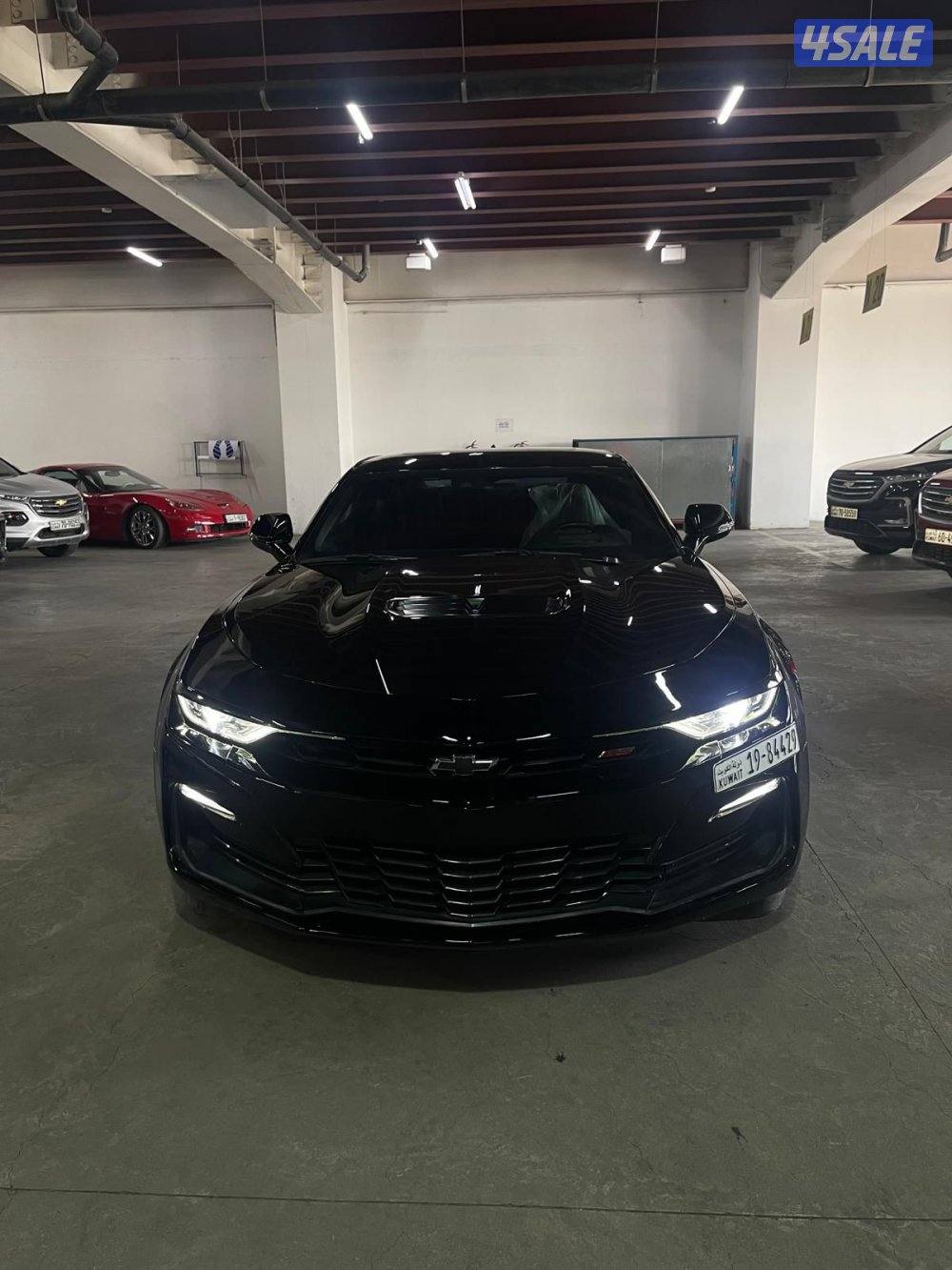 2ss قير عادي5