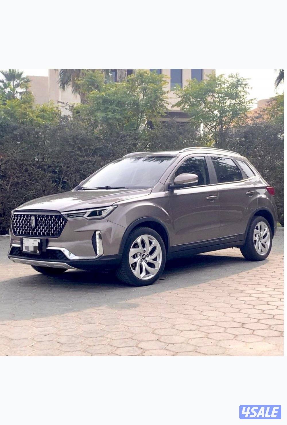 بيستونT33 (صبغ وكاله) كامل المواصفات0