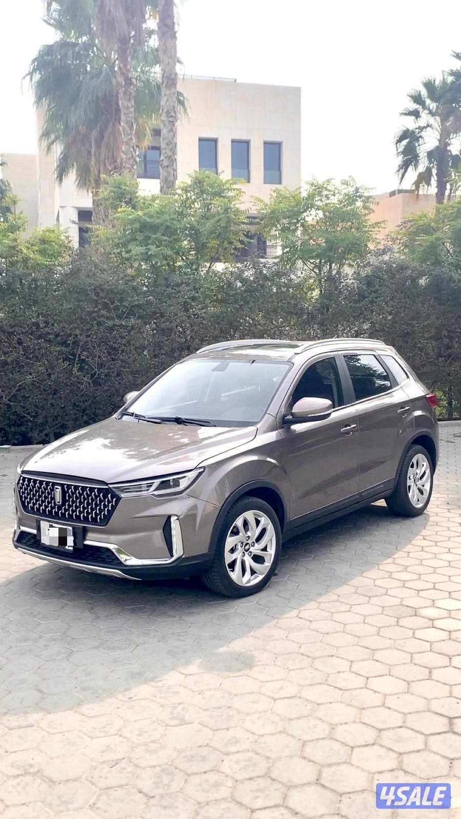 بيستونT33 (صبغ وكاله) كامل المواصفات1