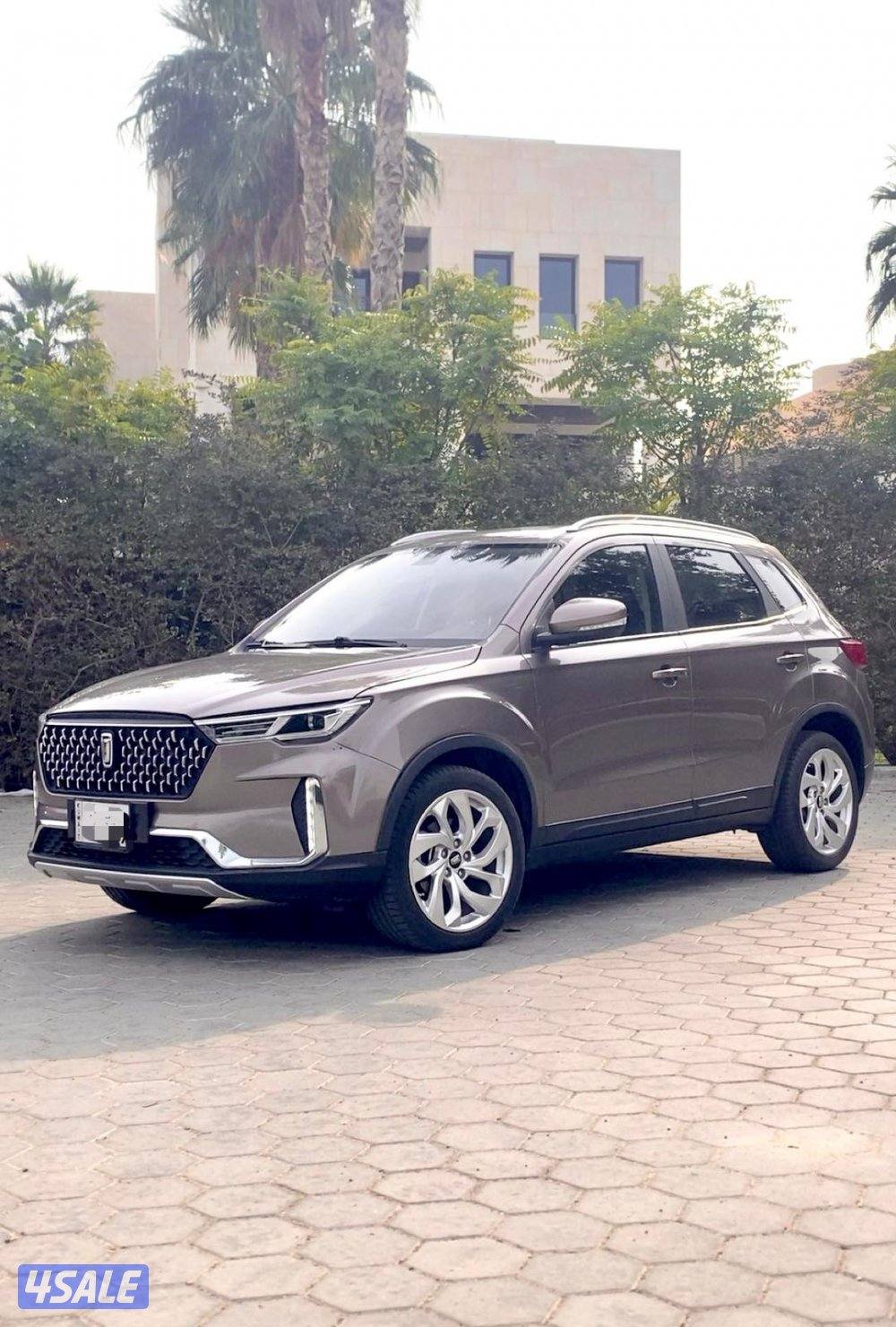 بيستونT33 (صبغ وكاله) كامل المواصفات10