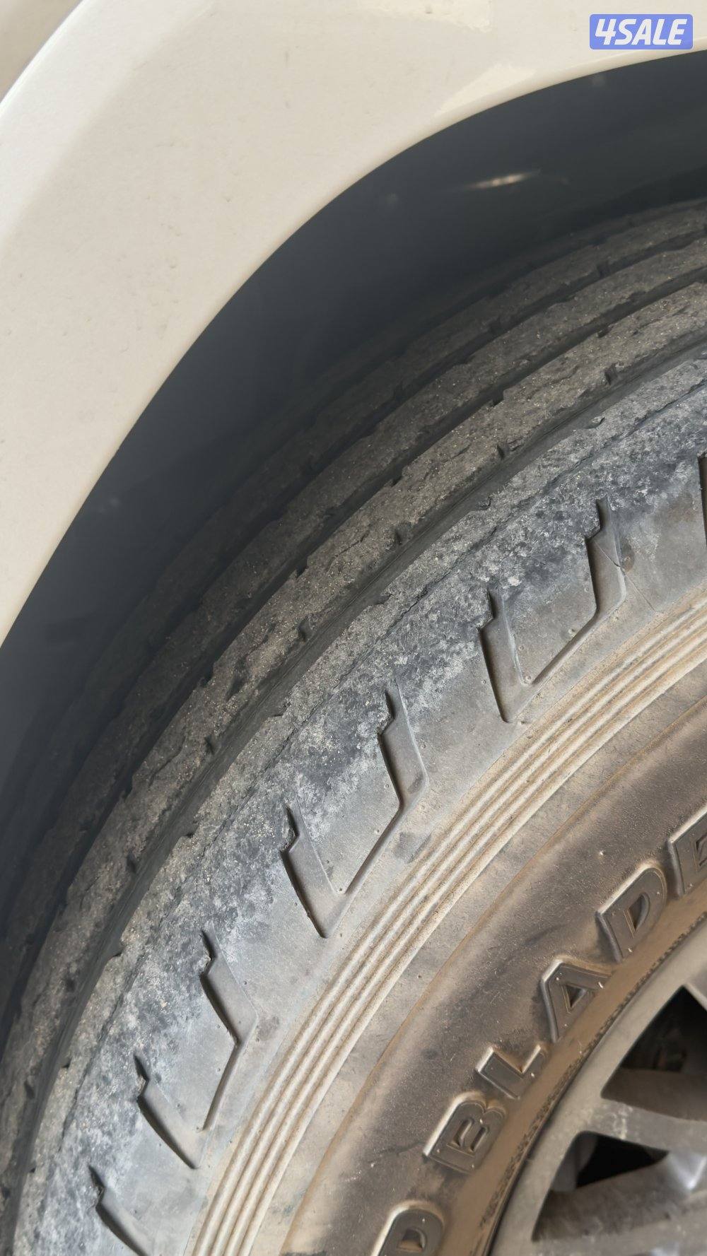 شواهين مع رنقات1