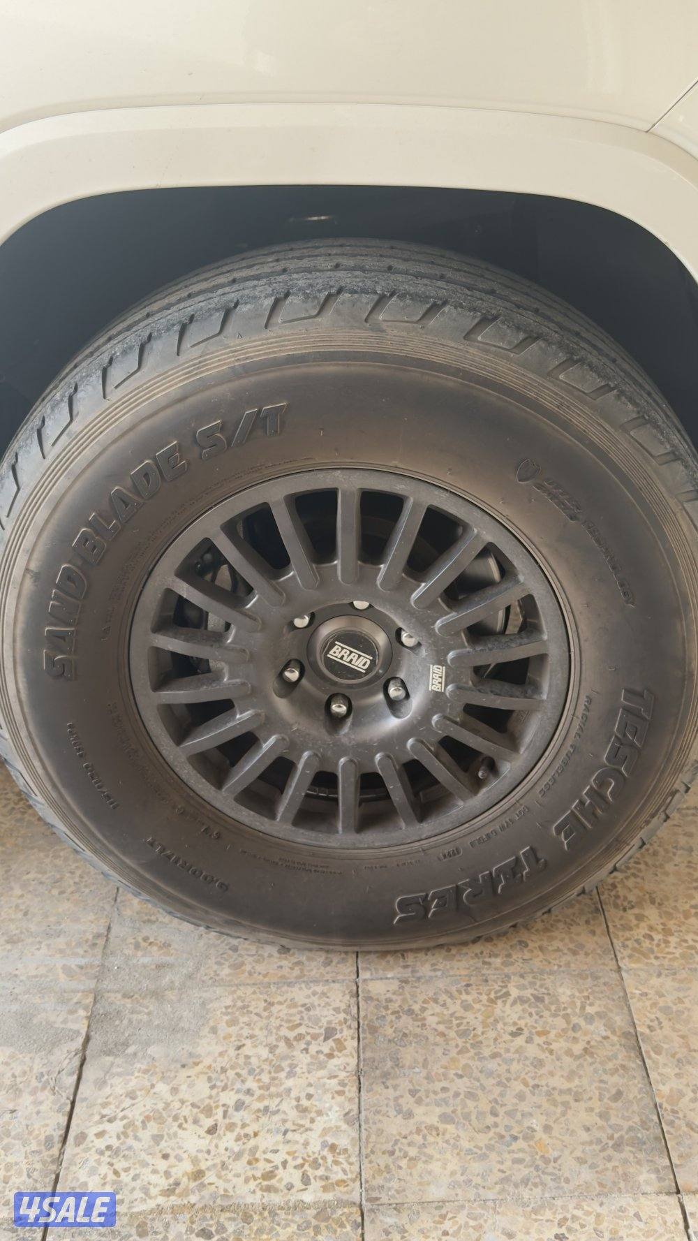 شواهين مع رنقات2