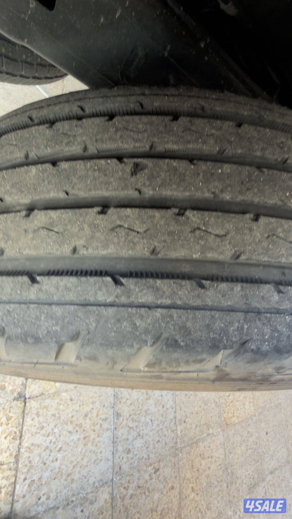 شواهين مع رنقات3