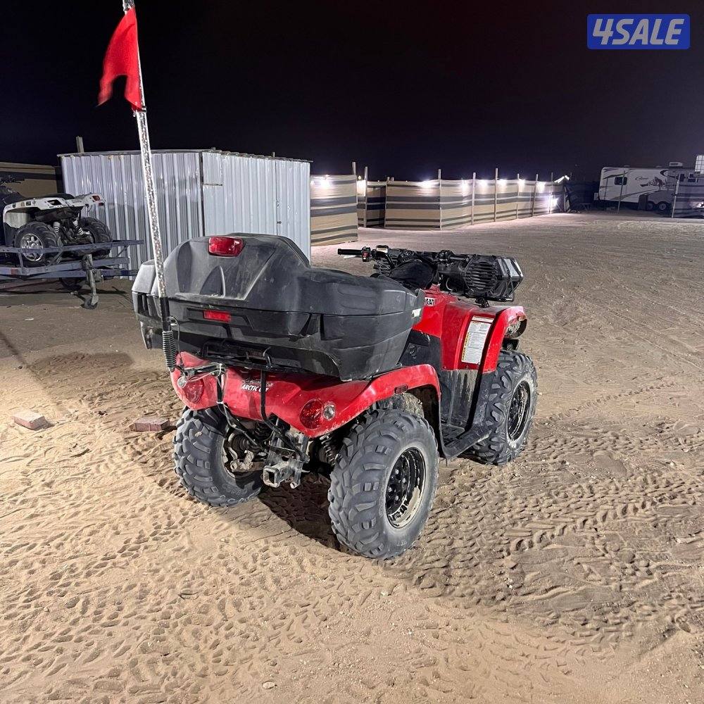 قرزلي arctic cat2