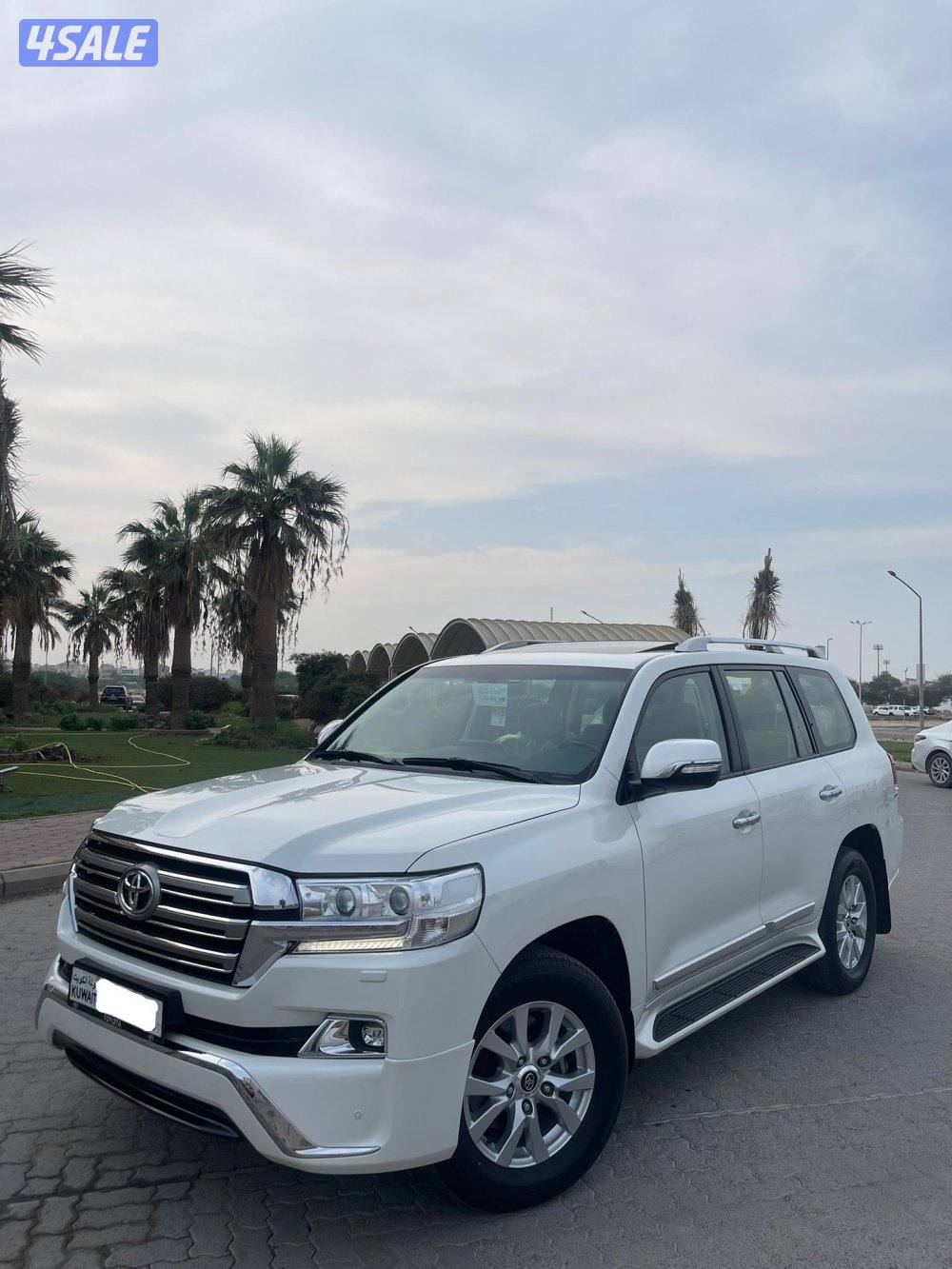 صبغ الوكاله ماشي 1340