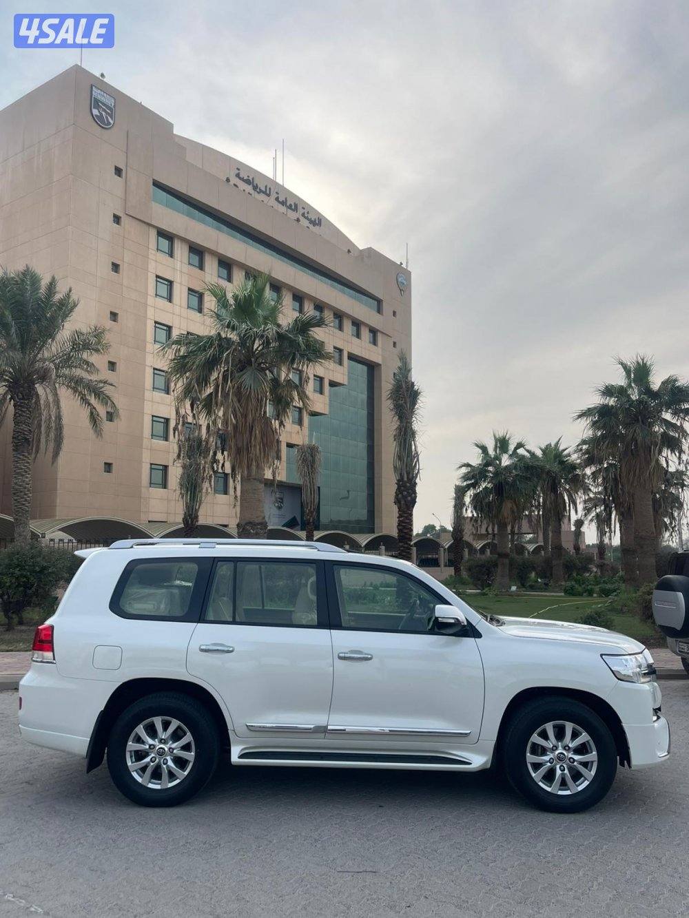 صبغ الوكاله ماشي 1346