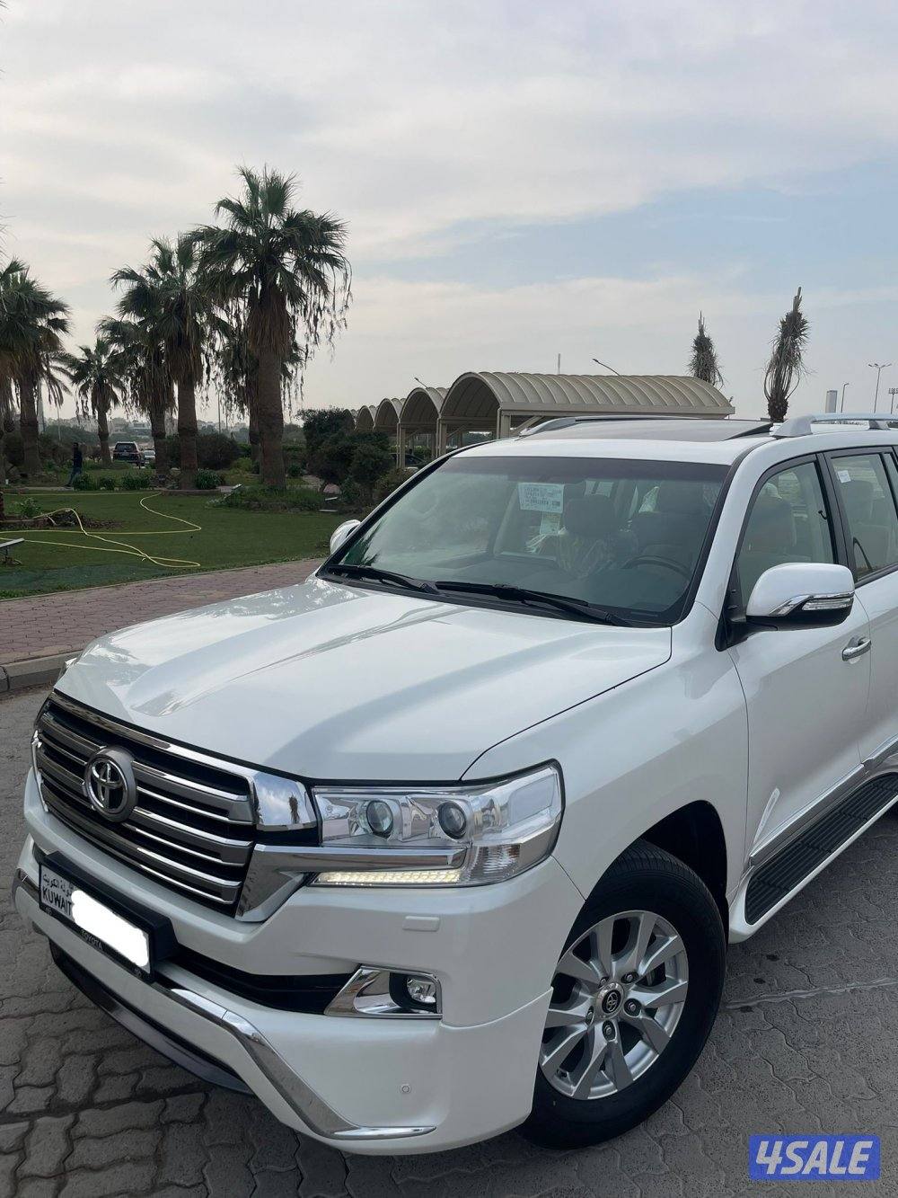 صبغ الوكاله ماشي 1348