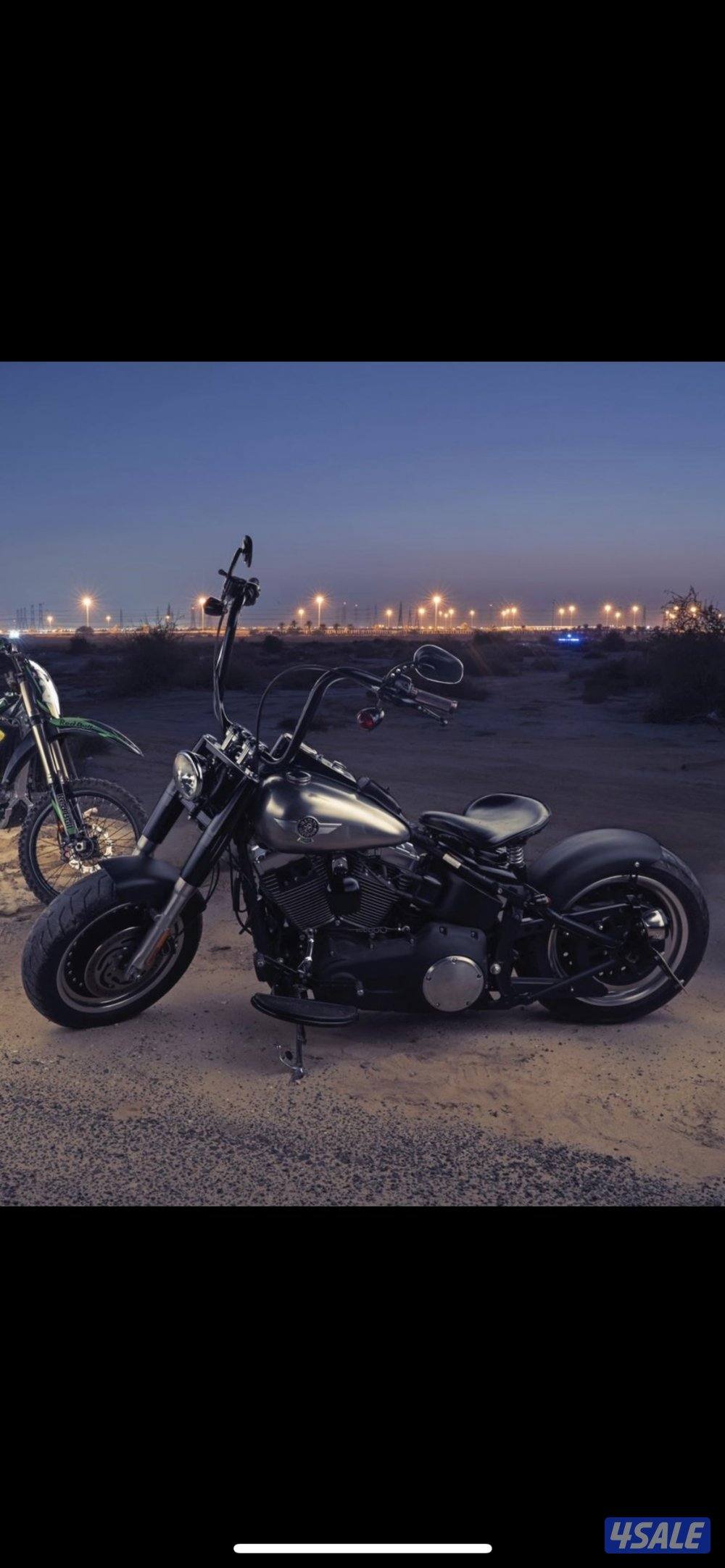 للبيع هارلي فات بوي لو كوستم بوبر1