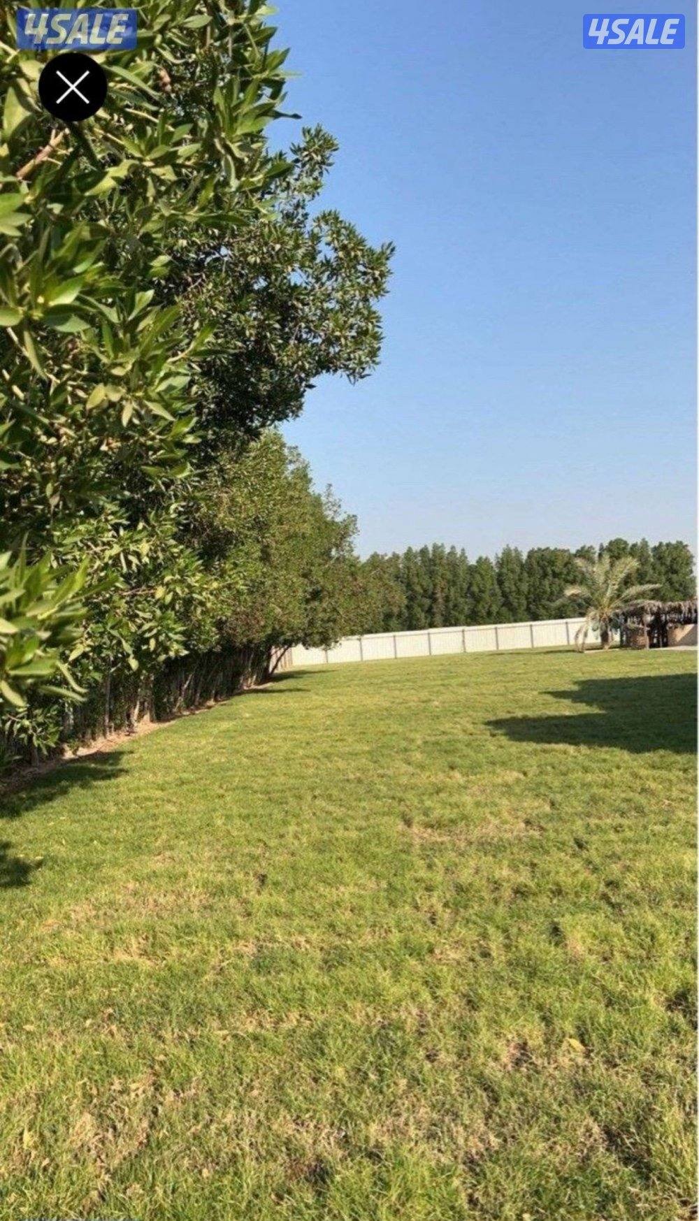 للإيجار مزرعة بالوفرة قيمة الإيجار الشهري فترة طويلة0