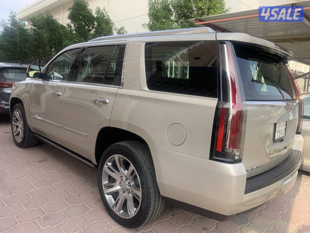 اسكاليد 2016 صبغ وكاله7