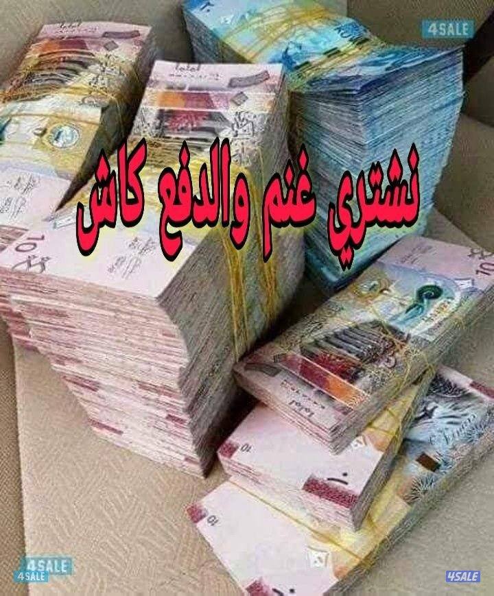 نشتري ابل0