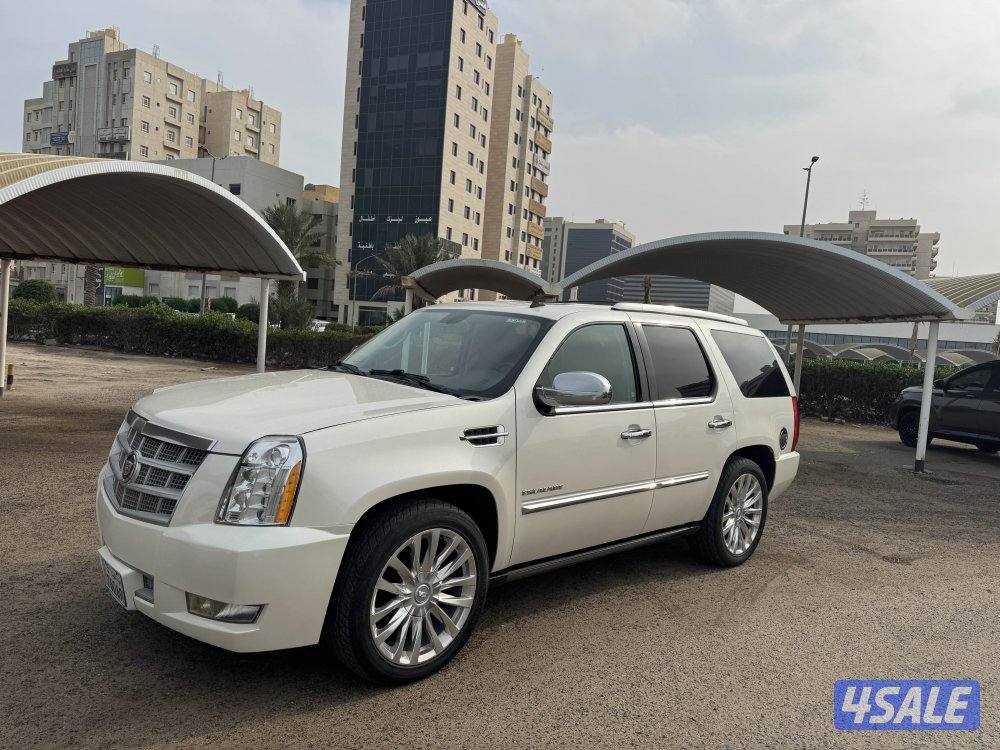 اسكالد الدرجه الاولى بحاله ممتازه20100