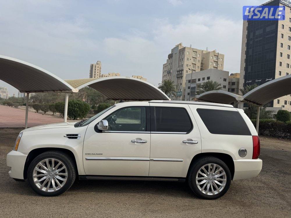 اسكالد الدرجه الاولى بحاله ممتازه20101