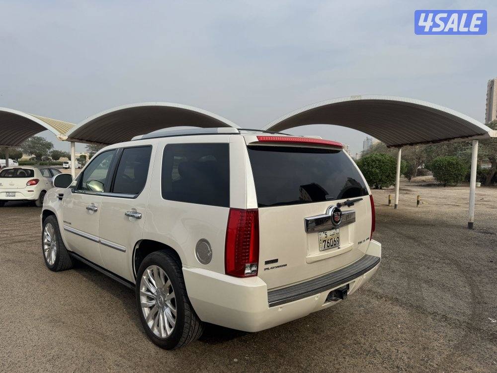 اسكالد الدرجه الاولى بحاله ممتازه20102