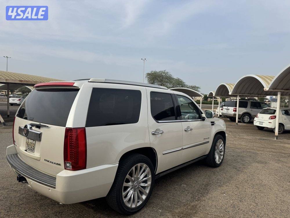 اسكالد الدرجه الاولى بحاله ممتازه20104