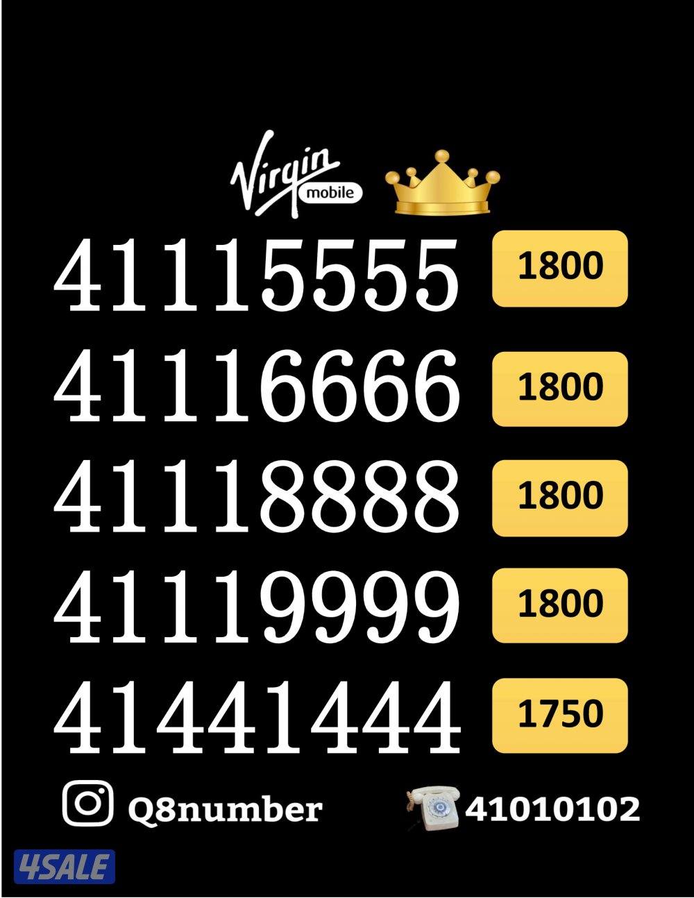 شاهد الصور10